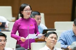 Giám sát chặt chẽ dòng tiền tham gia đấu giá