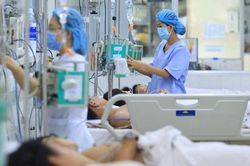 Sốt xuất huyết tại Hà Nội đang vượt ngưỡng cảnh báo dịch
