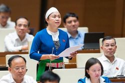 ĐB Quốc hội: Người tiêu dùng có quyền yêu cầu bồi thường thiệt hại