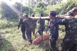 Quảng Ngãi kích nổ 5 quả bom 'khủng' nặng hơn 1 tấn