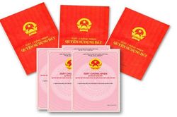 Thành viên hộ gia đình, ai được ghi tên trong sổ đỏ?