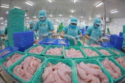 Kim ngạch xuất nhập khẩu không tăng nhiều, dự báo hai tháng cuối năm khó khăn
