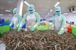 Xuất khẩu thủy sản 10 tháng tăng 34%