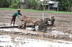 Nước rút, nông dân tập trung xuống giống vụ lúa đông xuân
