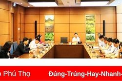 Thảo luận về dự án Luật Bảo vệ quyền lợi người tiêu dùng (sửa đổi) và dự án Luật Giao dịch điện tử (sửa đổi)