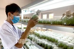 Nông nghiệp công nghệ cao: Thiếu lao động có chất lượng