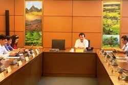 Chính trị - Xã hội Theo dòng thời sự Xem xét các dự án luật phù hợp thực tiễn