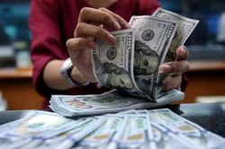 Tỷ giá hôm nay (2/11): USD trung tâm quay đầu giảm điểm