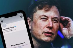 Tỷ phú Elon Musk chưa khôi phục tài khoản, ông Trump vẫn bị Twitter 'cấm cửa'