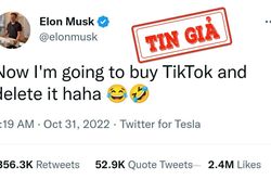 'Elon Musk sắp mua TikTok' là tin giả