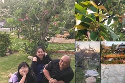 Biệt thự vườn thênh thang của tài tử cát-xê 60 cây vàng