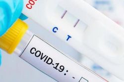 Covid-19 ngày 3/11: Hơn 800 ca mắc mới, 244 người khỏi bệnh, không có trường hợp tử vong