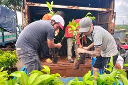 Đồng hành trên một vùng đất