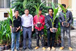 50 nông dân huyện Đak Pơ tập huấn kỹ thuật trồng, chăm sóc cây dừa xiêm lùn