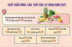 Xuất khẩu nông sản bắt kịp tín hiệu thị trường, nỗ lực về đích