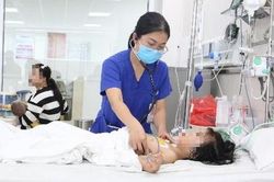 Nuôi ong vò vẽ, con gái bị tổ ong rơi trúng đầu, đốt 25 nốt