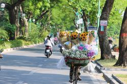 Ngắm những chiếc xe chở mùa trên phố phường Hà Nội