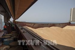 G7 kêu gọi Nga gia hạn thỏa thuận ngũ cốc Biển Đen