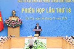 Thế giới vẫn trong đại dịch, chưa thể xác định việc loại trừ dịch COVID-19