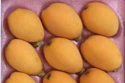 Hoa quả nhà giàu giá cao ngất ngưởng vẫn 'cháy' hàng