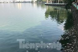 Kết quả quan trắc nước hồ Tây sau hiện tượng cá chết ra sao?