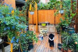Sau 2 năm sử dụng, khu vườn 48m² khiến ai cũng phải trầm trồ trước diện mạo mới