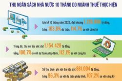 Thu ngân sách nội địa tăng trưởng đồng đều ở hầu hết các khu vực