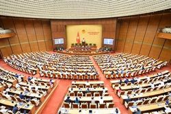 Quốc hội thảo luận về báo cáo phòng, chống tội phạm và nghị quyết đấu giá biển số ô tô
