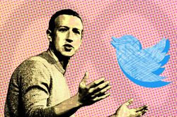 Meta có thể hưởng lợi khi Twitter biến động