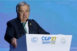 Tổng thư ký Guterres: Thế giới đang trên đường đến 'địa ngục khí hậu'