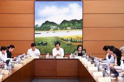 Cần quy định cụ thể, chi tiết hình thức chỉ định thầu để tránh tiêu cực