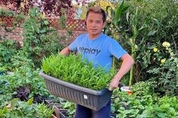 34 năm chỉ ăn món Việt nhờ khu vườn hơn 100 loại rau củ ở Anh