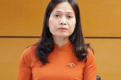 Đề nghị bỏ quy định nhà thầu được chỉ định thầu không cần độc lập về pháp lý, tài chính