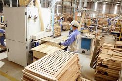 Nhìn sâu vào nền kinh tế thực
