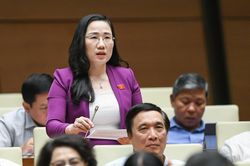 Đại biểu Quốc hội nêu mánh khóe 'cài thầu quen, chèn thầu lạ'