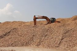 Kiến nghị tháo gỡ khó khăn về hoàn thuế VAT đối với gỗ rừng trồng