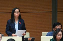 Đại biểu Quốc hội đề xuất 4 giải pháp giảm tội phạm giết người liên quan đến gia đình