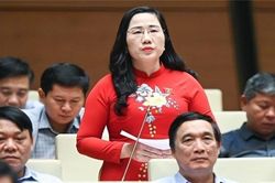 Ngăn chặn 5 'chiêu trò' lách luật phổ biến trong đấu thầu