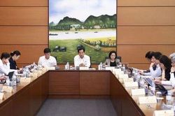 Dự án Luật Đấu thầu (sửa đổi): Chỉ định thầu phải quy định cụ thể