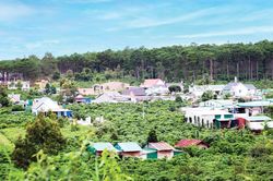 Phát triển toàn diện vùng đồng bào dân tộc thiểu số
