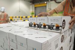 Nestlé Việt Nam tiếp tục vào tốp 100 DN nộp thuế TNDN lớn nhất Việt Nam