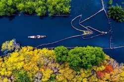 Cuộc thi và triển lãm nhiếp ảnh đậm chất Huế
