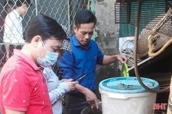 Xuất hiện ổ dịch sốt xuất huyết đầu tiên ở Đức Thọ