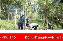 Không cam chịu đói nghèo