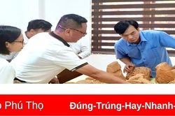 Khai quật 107 hiện vật khảo cổ tại địa điểm Ba Nền, huyện Hạ Hòa