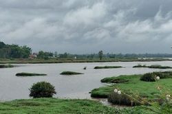 Lao xuống cứu bạn, một thiếu niên đuối nước thương tâm