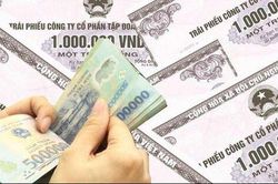 Chỉ một doanh nghiệp phát hành trái phiếu riêng lẻ trong tháng 10