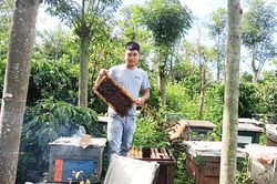 Mật ong PT Lâm Đồng - từ tiêu thụ nội địa đến xuất khẩu