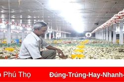 Ứng dụng khoa học công nghệ trong sản xuất nông nghiệp