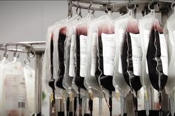 Tiết lộ mới về vụ 30.000 người bị truyền máu nhiễm HIV ở Anh